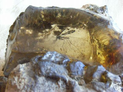 Jurassic-Park-Amber-Rock-eBay-Alt-Close-Up.jpg